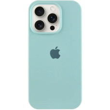 Чохол Apple Silicone Case для iPhone 16 Pro Max Beryl