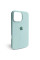 Чехол Apple Silicone Case для iPhone 16 Pro Max Turquoise
