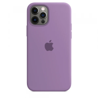 Чехол Apple Silicone Case для iPhone 12 Pro Max Blueberry
