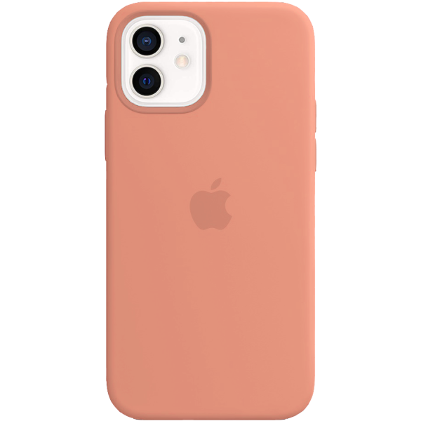 Чехол Apple Silicone Case для iPhone 12 Flamingo