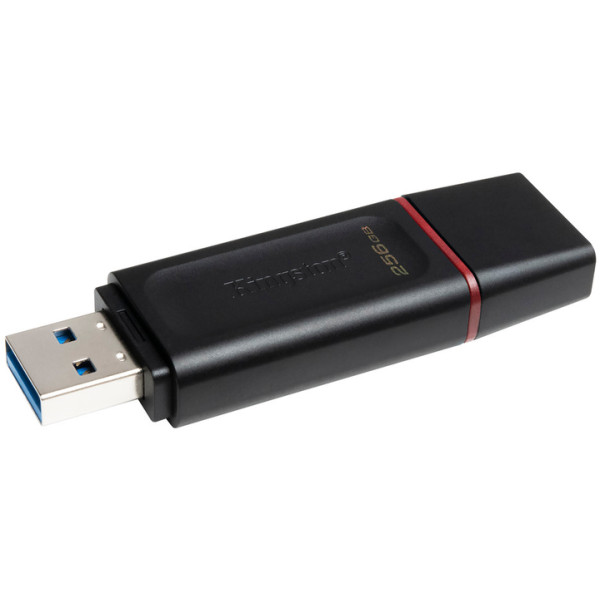 Флеш пам'ять Kingston DataTraveler Exodia DTX/256GB Black 256GB