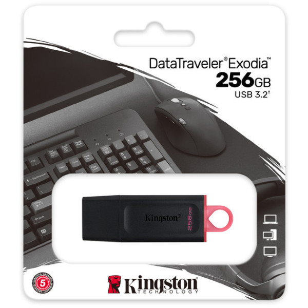 Флеш пам'ять Kingston DataTraveler Exodia DTX/256GB Black 256GB