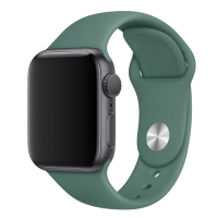 Ремешок Apple Watch Sport Band 38 мм/40 мм/41 мм Pine Green