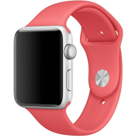 Ремешок Apple Watch Sport Band 38 мм/40 мм/41 мм Камелия