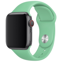 Ремешок Apple Watch Sport Band 38 мм/40 мм/41 мм Spearmint